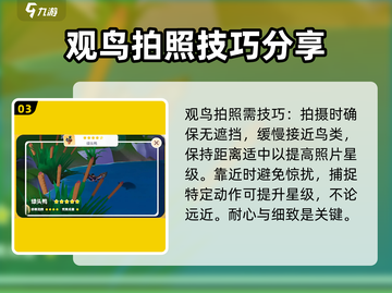 心动小镇鸟类图鉴🔥超全拍照技巧分享🎉截图4