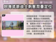 龙石战争🔥英雄角色大揭秘！🎮截图3