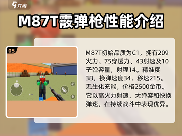 像素射击霰弹枪强度大起底！🔥游戏党必看🔥截图6