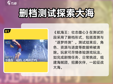 航海王壮志雄心🔥删档测试玩法大曝光！截图2