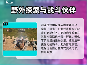 荒野起源💥求生技能大揭秘！玩家必看🔥截图4
