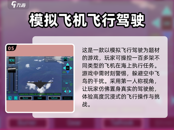 ✈2025必玩！经典模拟飞行手游推荐🔥截图6