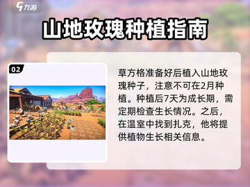 沙石镇时光🔥山地玫瑰种植&收获攻略来啦！截图3