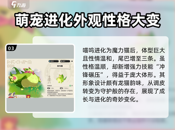 洛克王国手游🔥武斗酷猫进化喵喵必看❗截图4