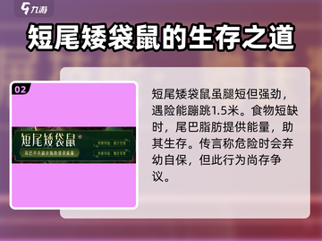 野兽领主新世界短尾矮袋鼠🔥萌宠养成一网打尽！截图3