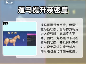 沙石镇时光🔥坐骑亲密度快速提升秘籍🎉截图3