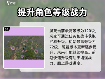 永恒岛🔥满级攻略：快速升级秘籍大公开！截图2