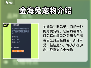 黎明之海💎金海兔获取攻略，快速入手秘籍！💥截图2