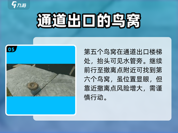 三角洲行动🔥鸟窝位置全揭秘！速来打卡⚡截图6