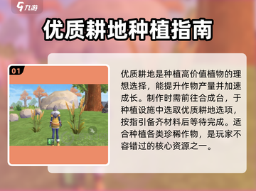 创造与魔法🔥超值耕地指南🌾种这些不亏！截图2