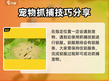 万龙觉醒🔥抓稀有宠物超全攻略💡截图3