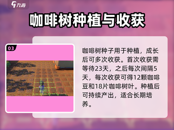 沙石镇时光：咖啡树种子获取💡&咖啡豆收获时间揭秘！截图4