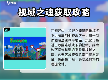 泰拉瑞亚⚡视域之魂获取秘籍，合成表曝光！截图2
