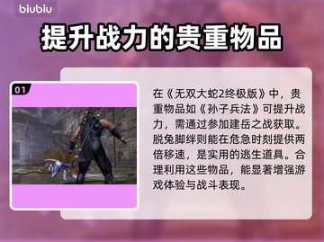 无双大蛇2终极版🔥全贵重物品一览💎截图2