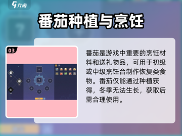 🎮沙石镇时光番茄获取攻略！1招get稀有食材🍅💥截图4