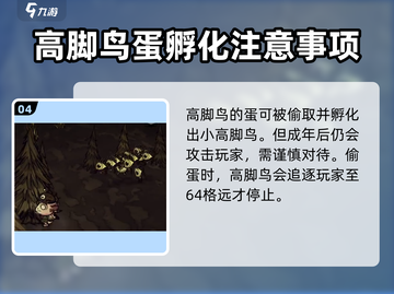 饥荒联机版手游：高脚鸟🔥超全介绍来啦！截图5