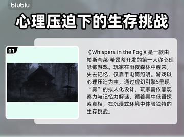 雾中的呢喃🔥WhispersintheFog加速器推荐🚀游戏党必看！截图2