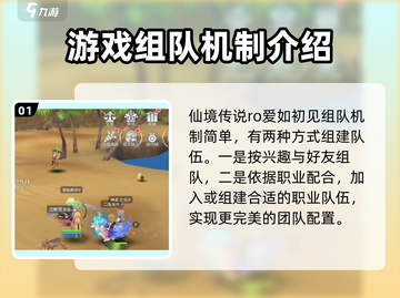 仙境传说RO爱如初见组队秘籍，一键躺赢🔥截图2