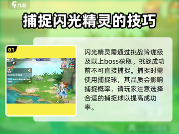 西普大陆✨：快速刷闪光精灵的秘籍来了！截图2