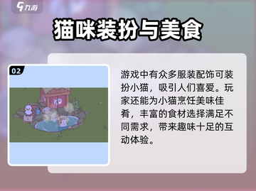 猫咪和汤🔥公测时间曝光！上线倒计时💥截图3