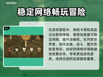 饥荒联机版延迟高？不开加速器试试这个⚡截图2