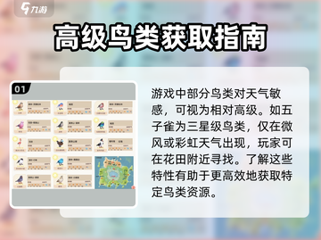 心动小镇🔥最高级神鸟大揭秘！🐦截图2