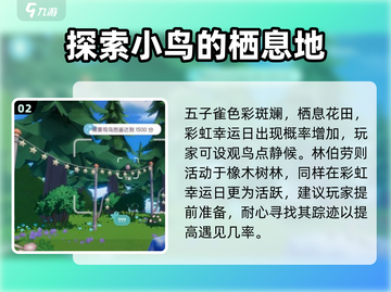 心动小镇：快速解锁观鸟秘籍🔥🎉截图3