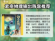 踏风行阵容搭配🔥游戏名必备指南！💡截图3