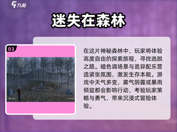 🔥2025必玩！人气森林生存游戏合集✨截图4