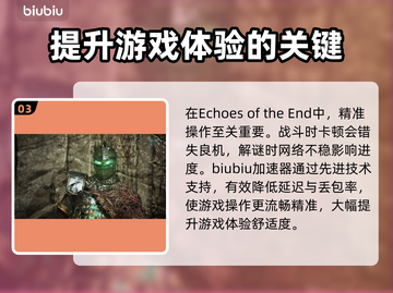 EchoesoftheEnd黑屏闪退？❌教你一招解决卡顿延迟丢包！🔥截图4