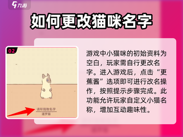 猫咪和汤游戏🔥给猫取名绝招在这里！🐾截图3