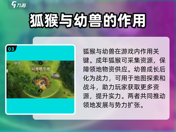 野兽领主新世界🔥超详细入门攻略，新手必看！截图4