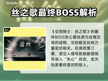 🎮空洞骑士丝之歌终极BOSS曝光！截图2