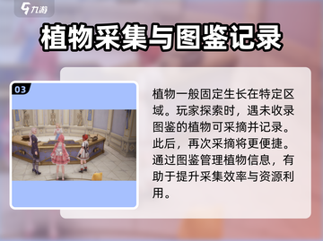无限暖暖植物大揭秘！游戏党必看🔥截图4