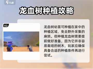 《沙石镇时光》：龙血树🔥秘境探险必刷！截图3
