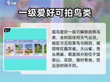 心动小镇鸟类图鉴🔥超全拍照技巧分享🎉截图2