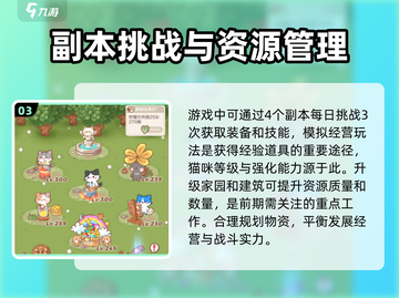 喵星族🔥超全攻略来了！玩游戏名必备🎉截图4