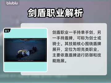 王权与自由：剑盾职业大揭秘！🎮🔥截图2