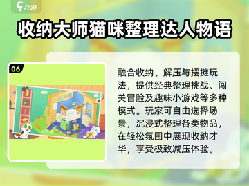 🧹2024最上头整理游戏盘点！截图7