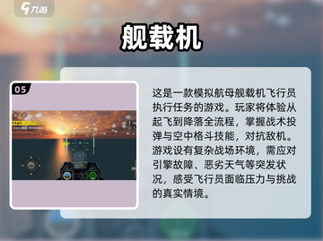🔥2025必玩的飞机战斗游戏推荐✈截图6