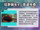 🎮2025年必玩！顶级手柄手游推荐🔥截图2