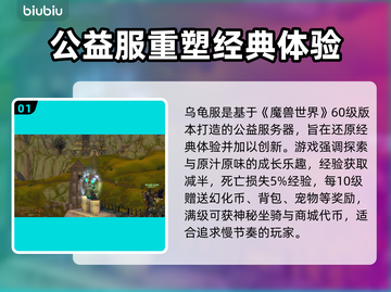 🔥魔兽世界乌龟服加速器推荐！🚀截图2