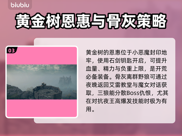 艾尔登法环黑夜君临🔥新手必看！快速上手指南💎截图4