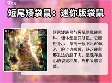 野兽领主新世界短尾矮袋鼠🔥萌宠养成一网打尽！截图2
