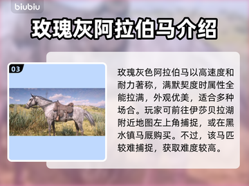 荒野大镖客PC版最强🔥马匹推荐！😎截图4