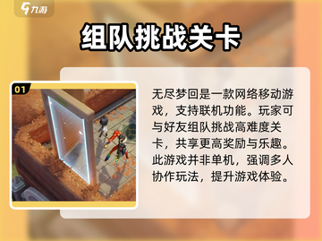 无尽梦回🎮竟是单机？游戏类型大揭秘！截图2