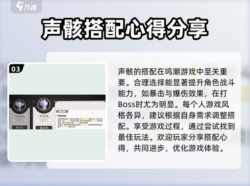 鸣潮🔥声骸搭配湮灭主角，最强组合揭秘！截图4