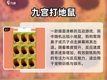 🐶2025狗狗最爱玩的10种游戏！🔥截图2