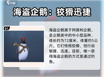 🎮《黎明之海》海盗企鹅获取攻略大公开！截图2