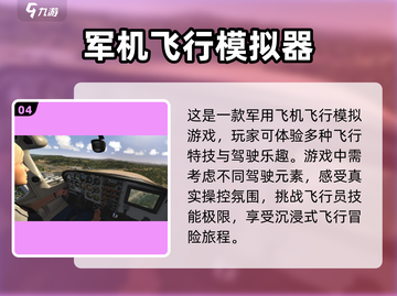 ✈十大模拟飞行游戏推荐，玩家直呼过瘾！截图5